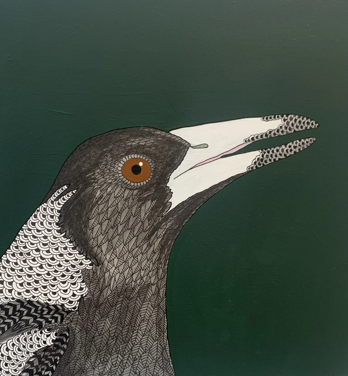 Australian magpie ink drawing with fine detail by Vanessa Goess