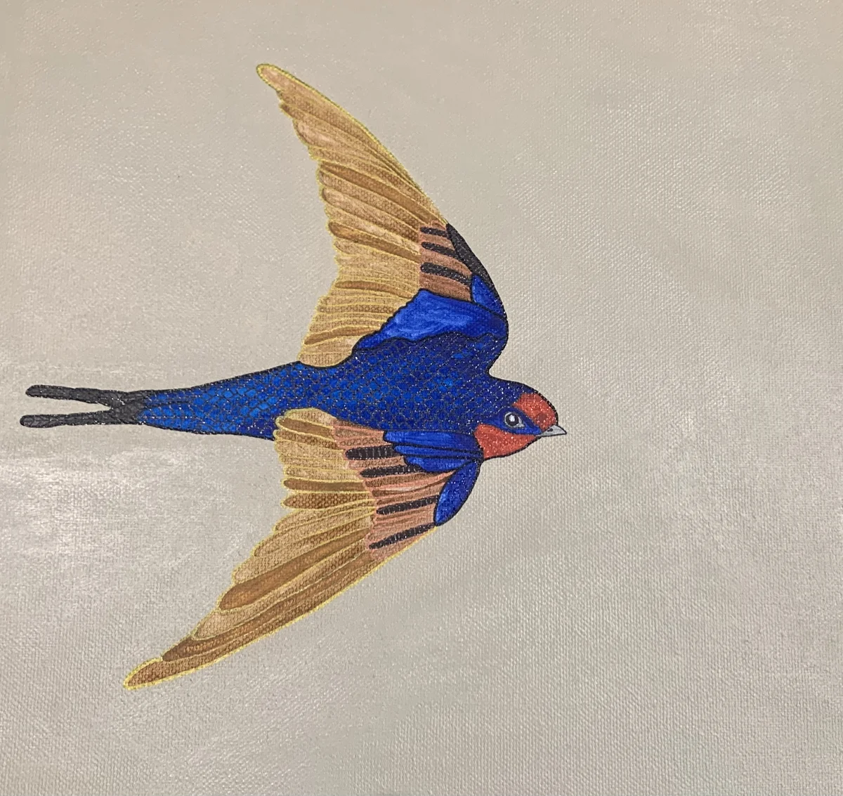 Welcome swallow bird ink drawing by Australian artist Vanessa Goess